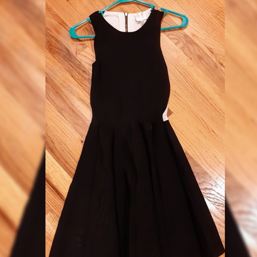 Parker Sleeveless Flare Mini Dress